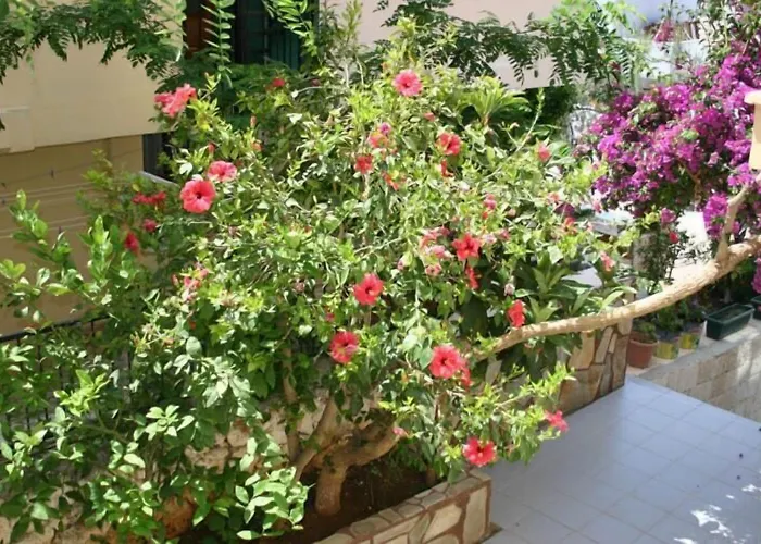 Talay فندق كاس