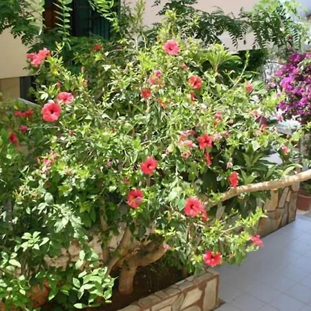 Talay فندق كاس